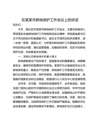 在某某市耕地保护工作会议上的讲话