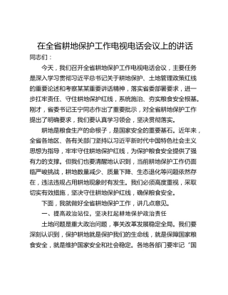 在全省耕地保护工作电视电话会议上的讲话