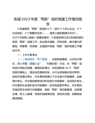 街道2023年度“两新”组织党建工作情况报告