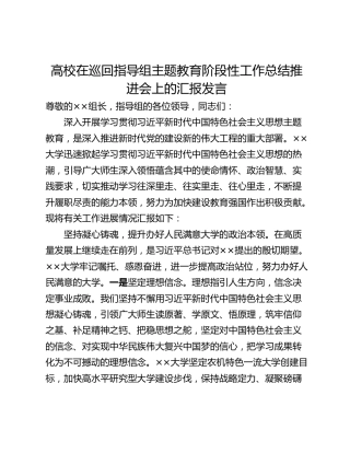 高校在巡回指导组主题教育阶段性工作总结推进会上的汇报发言