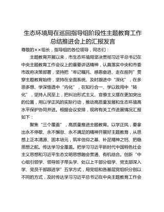 生态环境局在巡回指导组阶段性主题教育工作总结推进会上的汇报发言