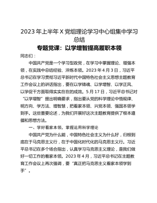 2023年上半年X党组理论学习中心组集中学习总结