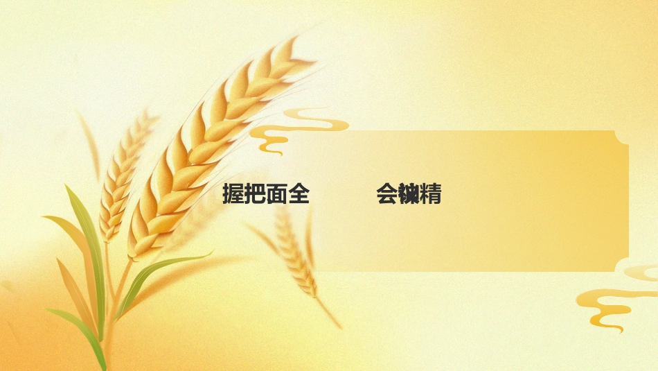 党课PPT：学习贯彻中央农村工作会议，扎实推进农业强市建设_第3页
