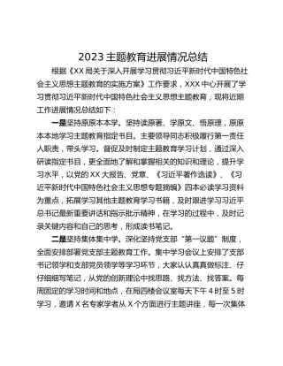 2023主题教育进展情况总结