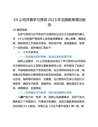 XX公司开展学习贯彻2023年主题教育情况报告