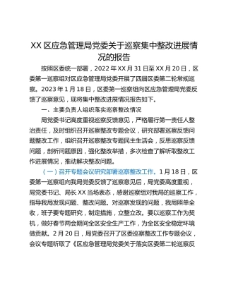 XX区应急管理局党委关于巡察集中整改进展情况的报告
