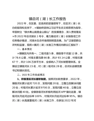 镇总河（湖）长工作报告