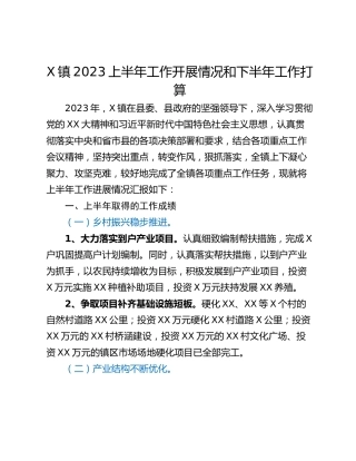 X镇2023上半年工作开展情况和下半年工作打算