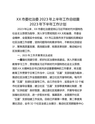 XX市委社治委2023年上半年工作总结暨2023年下半年工作计划