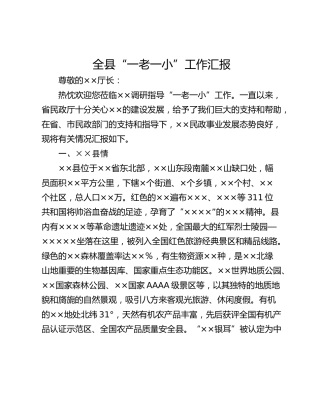 全县“一老一小”工作汇报
