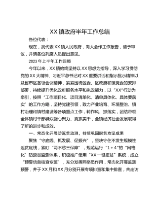 XX镇政府半年工作总结