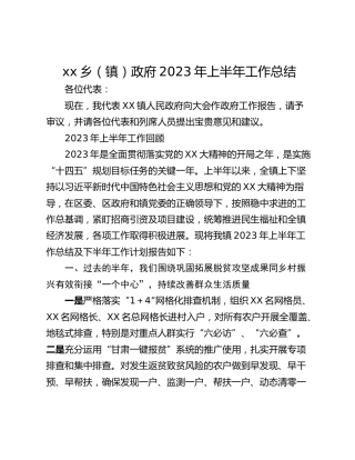 xx乡（镇）政府2023年上半年工作总结