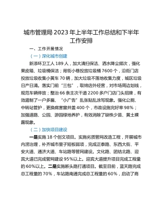 城市管理局2023年上半年工作总结和下半年工作安排