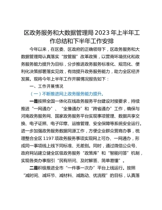 区政务服务和大数据管理局2023年上半年工作总结和下半年工作安排
