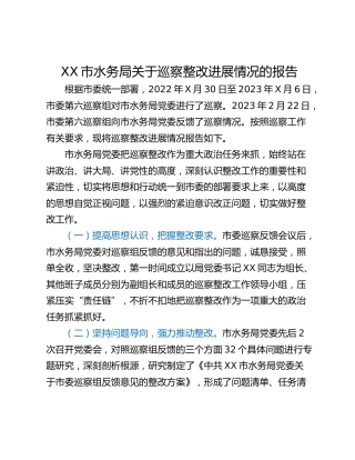 XX市水务局关于巡察整改进展情况的报告