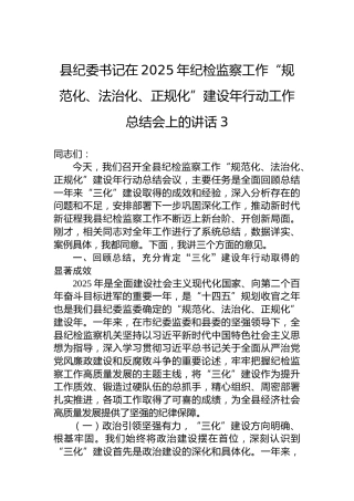县纪委书记在2025年纪检监察工作“规范化、法治化、正规化”建设年行动工作总结会上的讲话-3