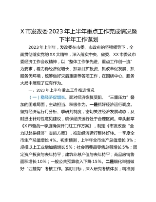 X市发改委2023年上半年重点工作完成情况暨下半年工作谋划