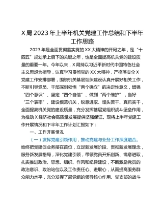 X局2023年上半年机关党建工作总结和下半年工作思路