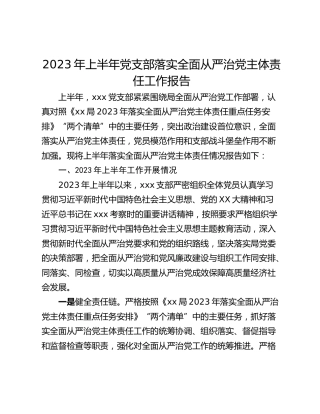 2023年上半年党支部落实全面从严治党主体责任工作报告