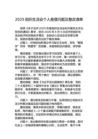 2025组织生活会个人查摆问题及整改清单