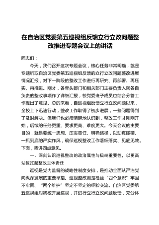 在自治区党委第五巡视组反馈立行立改问题整改推进专题会议上的讲话