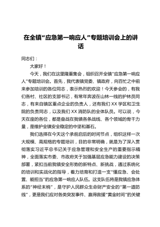 在全镇“应急第一响应人”专题培训会上的讲话