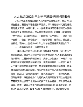 人大党组2023年上半年基层党建述职报告