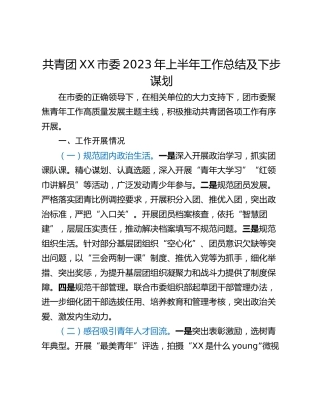 共青团XX市委2023年上半年工作总结及下步谋划