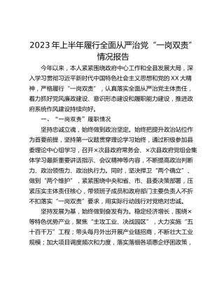 2023年上半年履行全面从严治党“一岗双责”情况报告