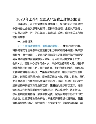 2023年上半年全面从严治党工作情况报告