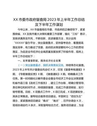 XX市委市政府督查局2023年上半年工作总结及下半年工作谋划