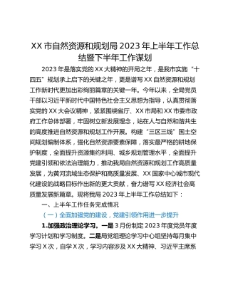 XX市自然资源和规划局2023年上半年工作总结暨下半年工作谋划