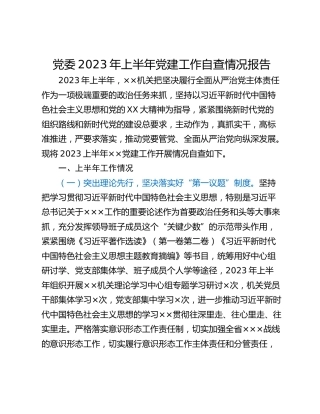 党委2023年上半年党建工作自查情况报告