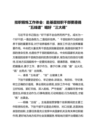 挂职锻炼工作体会：赴基层挂职干部要遵循“五线谱”唱好“三大调”