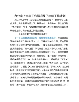 办公室上半年工作情况及下半年工作计划