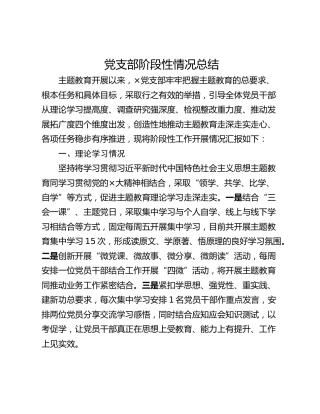 党支部阶段性情况总结