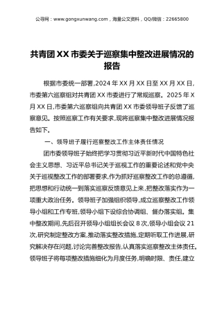 共青团XX市委关于巡察集中整改进展情况的报告