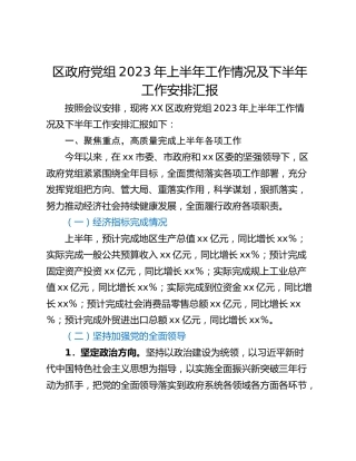 区政府党组2023年上半年工作情况及下半年工作安排汇报