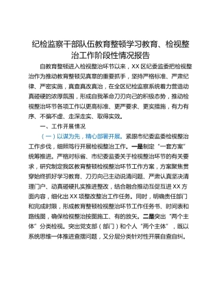 纪检监察干部队伍教育整顿学习教育、检视整治工作阶段性情况报告