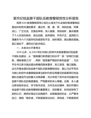 某市纪检监察干部队伍教育整顿党性分析报告