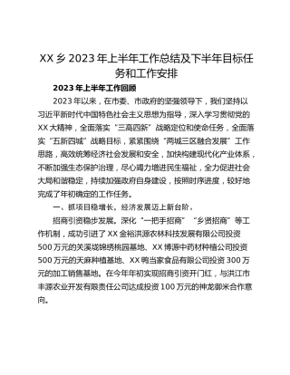 XX乡2023年上半年工作总结及下半年目标任务和工作安排
