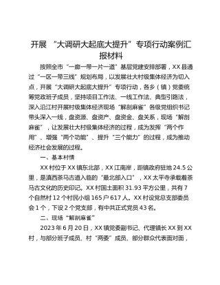 开展 “大调研大起底大提升”专项行动案例汇报材料