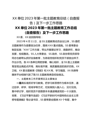 XX单位2023年第一批主题教育总结（自查报告）及下一步工作思路