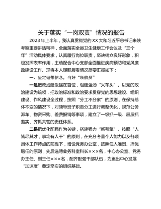 关于落实“一岗双责”情况的报告