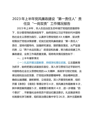 2023年上半年党风廉政建设“第一责任人”责任及“一岗双责”工作情况报告