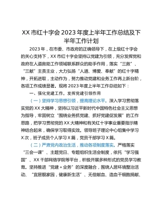 XX市红十字会2023年度上半年工作总结及下半年工作计划