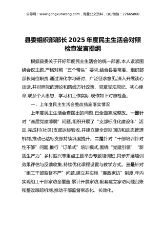 县委组织部部长2025年度民主生活会对照检查发言提纲