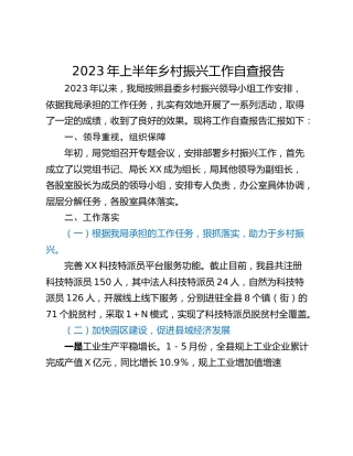 2023年上半年乡村振兴工作自查报告