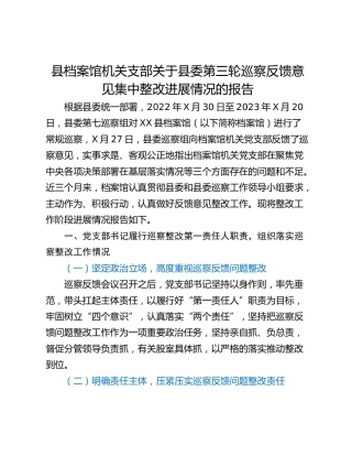 县档案馆机关支部关于县委第三轮巡察反馈意见集中整改进展情况的报告