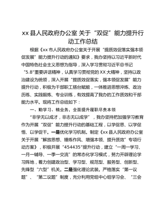 xx县人民政府办公室 关于“双促”能力提升行动工作总结